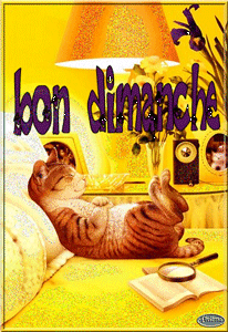 Gif animé Bon dimanche chat